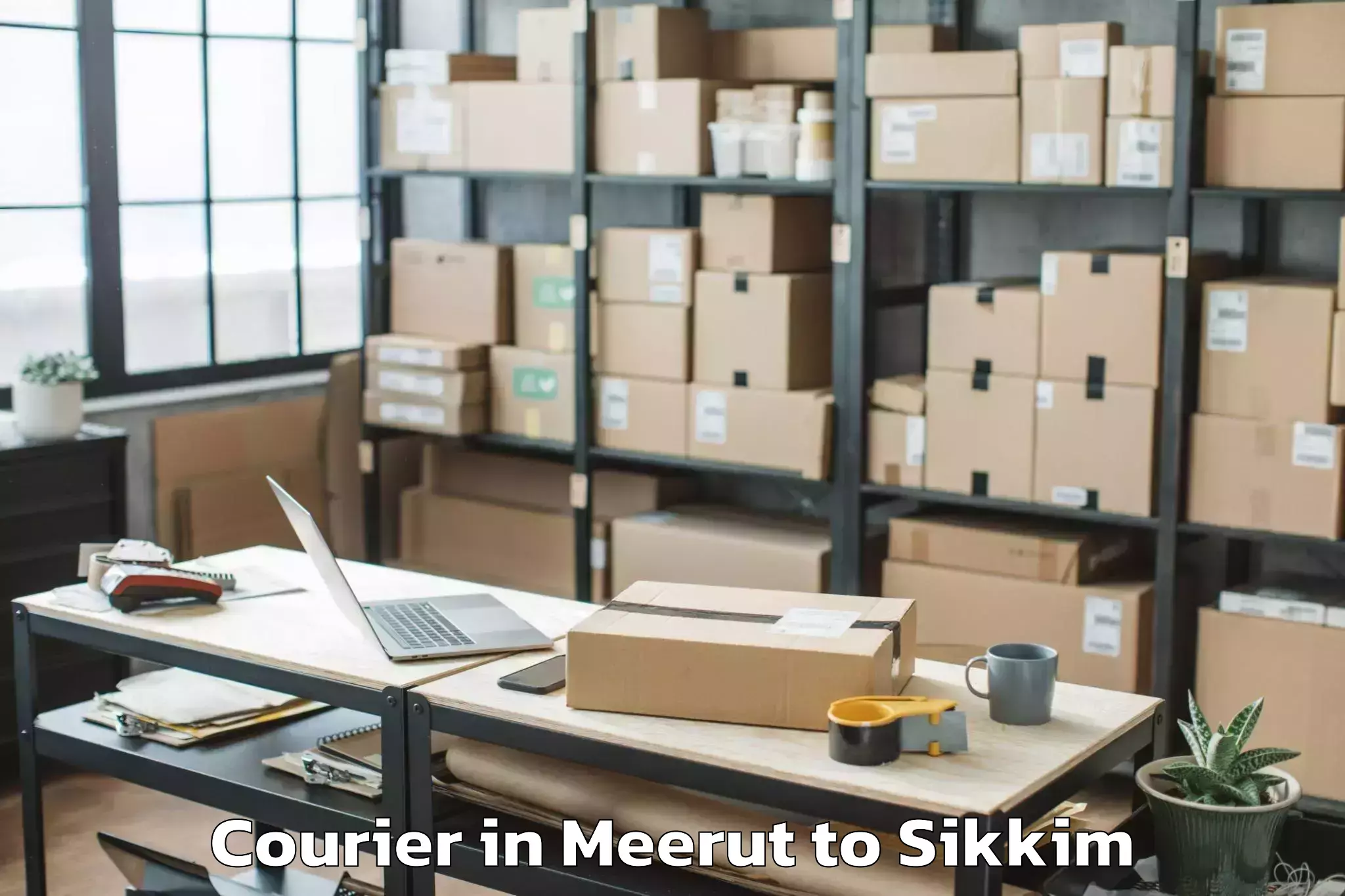 Quality Meerut to Mangan Courier